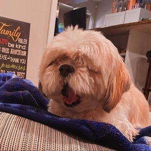 Meet your Posher, Jaime